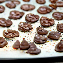 a tray of chocolate-covered pretzels.