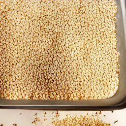 the toasted sesame seeds are taken out of the toaster.