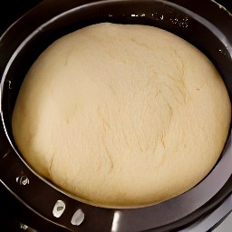 the bread machine will mix the ingredients together and form a dough.
